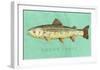 Brown Trout-John W^ Golden-Framed Art Print