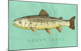 Brown Trout-John W^ Golden-Mounted Art Print