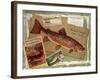 Brown Trout-Kate Ward Thacker-Framed Giclee Print