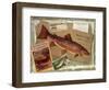 Brown Trout-Kate Ward Thacker-Framed Giclee Print