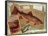 Brown Trout-Kate Ward Thacker-Framed Stretched Canvas