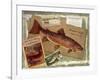 Brown Trout-Kate Ward Thacker-Framed Giclee Print