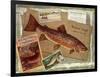 Brown Trout-Kate Ward Thacker-Framed Premium Giclee Print