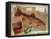 Brown Trout-Kate Ward Thacker-Framed Stretched Canvas