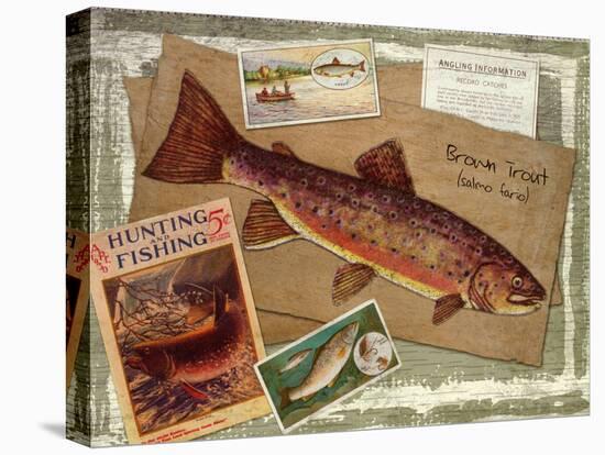 Brown Trout-Kate Ward Thacker-Stretched Canvas