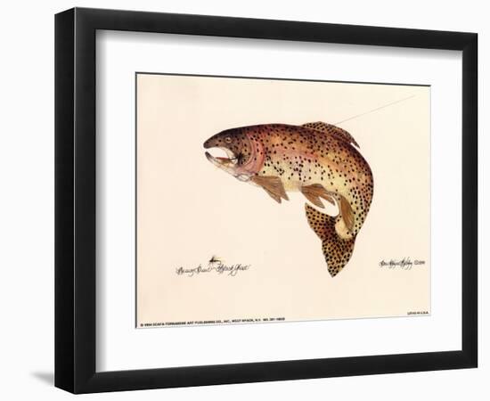 Brown Trout-unknown Blehm-Framed Art Print