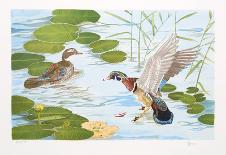 Two Ducks-Brown-Framed Collectable Print