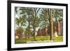Brown University, Providence, Rhode Island-null-Framed Premium Giclee Print