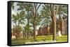 Brown University, Providence, Rhode Island-null-Framed Stretched Canvas