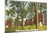 Brown University, Providence, Rhode Island-null-Mounted Art Print