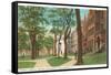 Brown University, Providence, Rhode Island-null-Framed Stretched Canvas