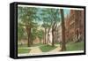 Brown University, Providence, Rhode Island-null-Framed Stretched Canvas