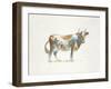 Brown & White Cow-Patti Mann-Framed Art Print