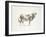 Brown & White Cow-Patti Mann-Framed Art Print