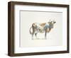 Brown & White Cow-Patti Mann-Framed Art Print