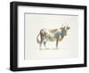 Brown & White Cow-Patti Mann-Framed Art Print