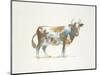 Brown & White Cow-Patti Mann-Mounted Art Print