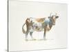 Brown & White Cow-Patti Mann-Stretched Canvas