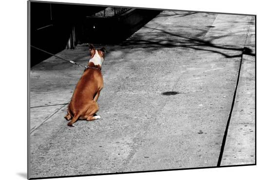Photo, , large