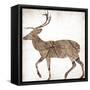 Brown Wood Deer Mate-Jace Grey-Framed Stretched Canvas
