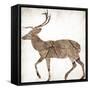 Brown Wood Deer Mate-Jace Grey-Framed Stretched Canvas