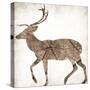 Brown Wood Deer Mate-Jace Grey-Stretched Canvas