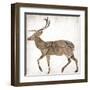 Brown Wood Deer Mate-Jace Grey-Framed Art Print