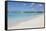 Brownes Beach, Bridgetown, St. Michael, Barbados, West Indies, Caribbean, Central America-Frank Fell-Framed Stretched Canvas