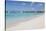 Brownes Beach, Bridgetown, St. Michael, Barbados, West Indies, Caribbean, Central America-Frank Fell-Stretched Canvas