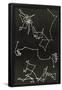 Essential Black