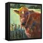 Brownie-Annelein Beukenkamp-Framed Stretched Canvas