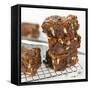 Brownies on Cake Rack-Dave King-Framed Stretched Canvas