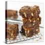 Brownies on Cake Rack-Dave King-Stretched Canvas