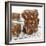 Brownies on Cake Rack-Dave King-Framed Photographic Print