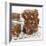 Brownies on Cake Rack-Dave King-Framed Photographic Print