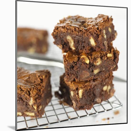 Brownies on Cake Rack-Dave King-Mounted Photographic Print