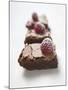 Brownies with Raspberries-null-Mounted Photographic Print