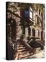 Brownstone Buildings in Harlem, Manhattan, New York City, USA-Jon Arnold-Stretched Canvas