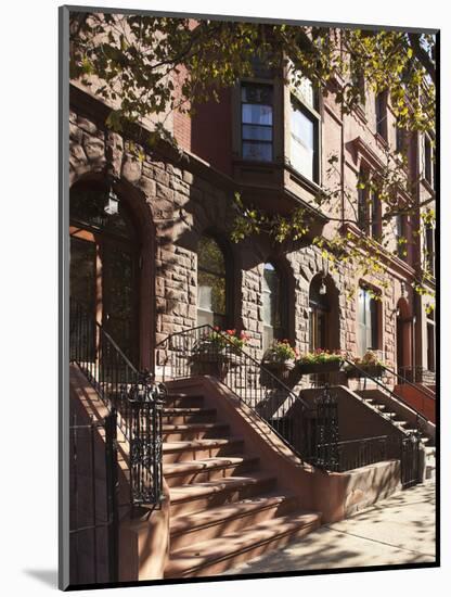 Brownstone Buildings in Harlem, Manhattan, New York City, USA-Jon Arnold-Mounted Photographic Print