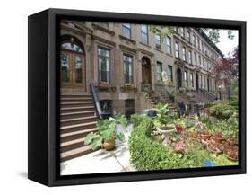 Brownstone in Brooklyn, New York, USA-Lynn Seldon-Framed Stretched Canvas