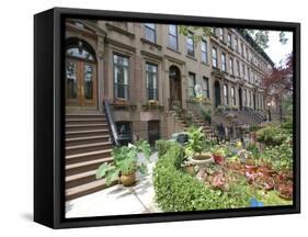 Brownstone in Brooklyn, New York, USA-Lynn Seldon-Framed Stretched Canvas