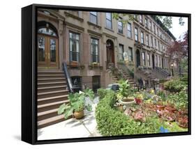 Brownstone in Brooklyn, New York, USA-Lynn Seldon-Framed Stretched Canvas