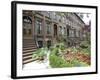 Brownstone in Brooklyn, New York, USA-Lynn Seldon-Framed Photographic Print