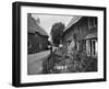 Brownstone Thatches-null-Framed Photographic Print