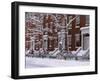 Brownstones in Blizzard-Rudy Sulgan-Framed Premium Photographic Print