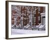 Brownstones in Blizzard-Rudy Sulgan-Framed Photographic Print