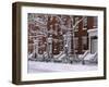 Brownstones in Blizzard-Rudy Sulgan-Framed Photographic Print