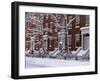 Brownstones in Blizzard-Rudy Sulgan-Framed Photographic Print