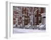 Brownstones in Blizzard-Rudy Sulgan-Framed Photographic Print