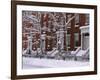 Brownstones in Blizzard-Rudy Sulgan-Framed Photographic Print